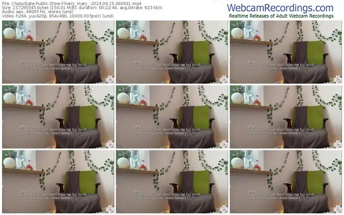 2024/09/15/chaturbate-hairy_mary_-09-09-31