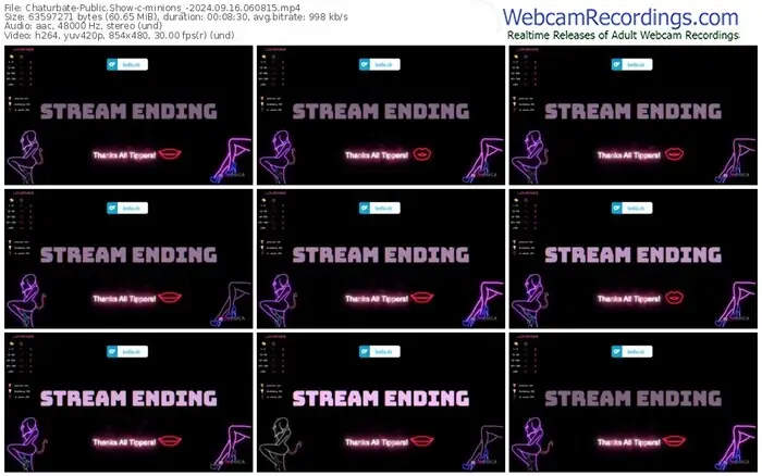 2024/09/16/chaturbate-minions_-06-08-15