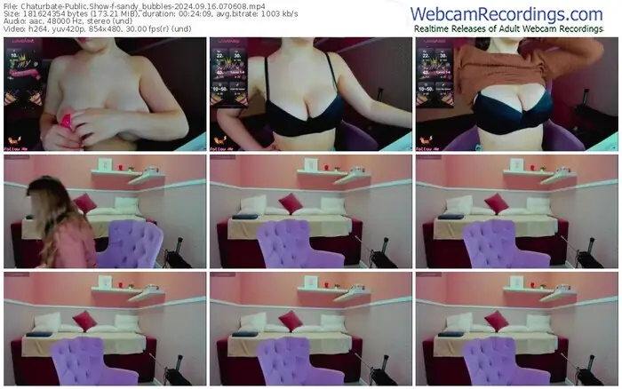 2024/09/16/chaturbate-sandy_bubbles-07-06-08