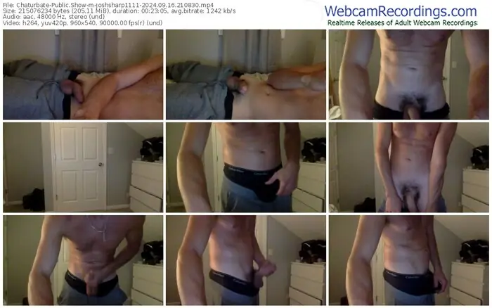 2024/09/16/chaturbate-joshsharp1111-21-08-30
