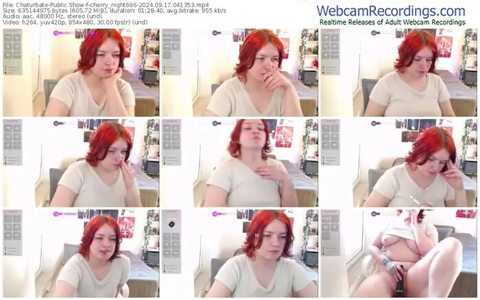 2024/09/17/chaturbate-cherry_night666-04-13-53