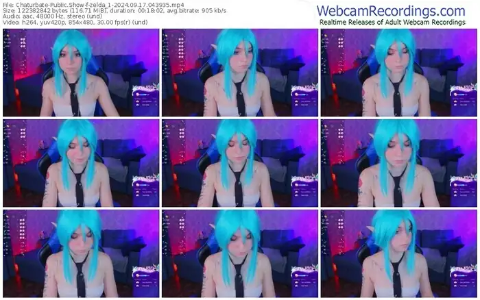 2024/09/17/chaturbate-zelda_1-04-39-35