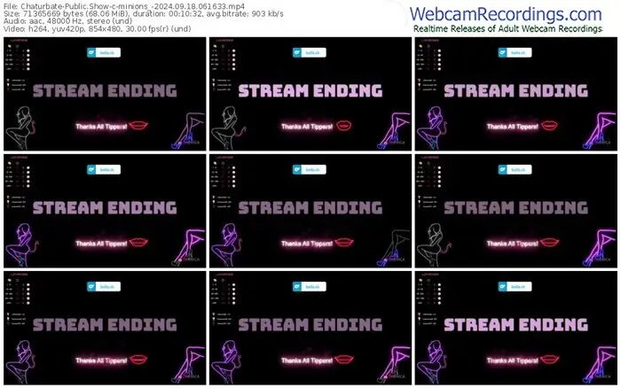 2024/09/18/chaturbate-minions_-06-16-33