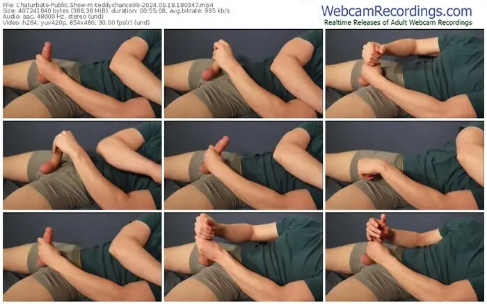 2024/09/18/chaturbate-teddychance99-18-03-47
