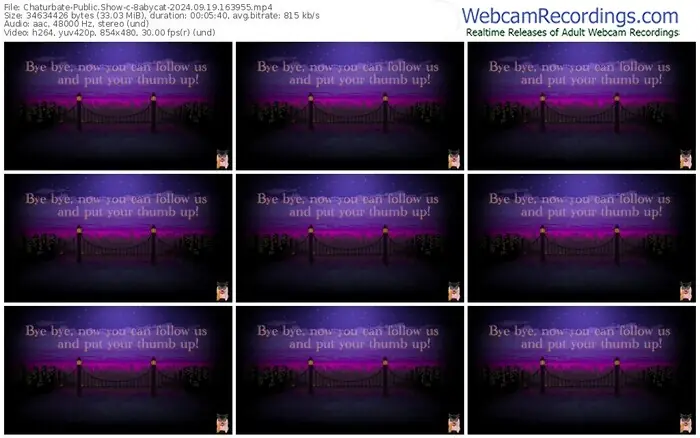2024/09/19/chaturbate-8abycat-16-39-55
