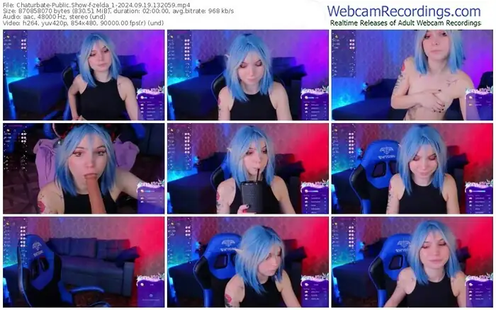 2024/09/19/chaturbate-zelda_1-13-20-59