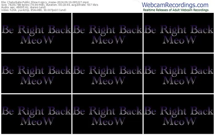 2024/09/19/chaturbate-spicy_meow-09-52-27