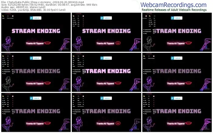 2024/09/20/chaturbate-minions_-06-04-16