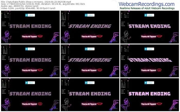 2024/09/23/chaturbate-minions_-06-25-38