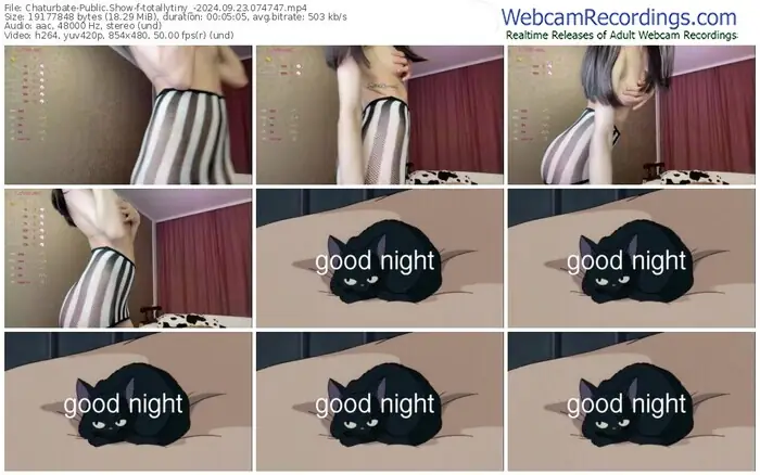 2024/09/23/chaturbate-totallytiny_-07-47-47