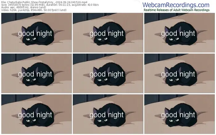 2024/09/24/chaturbate-totallytiny_-04-15-16