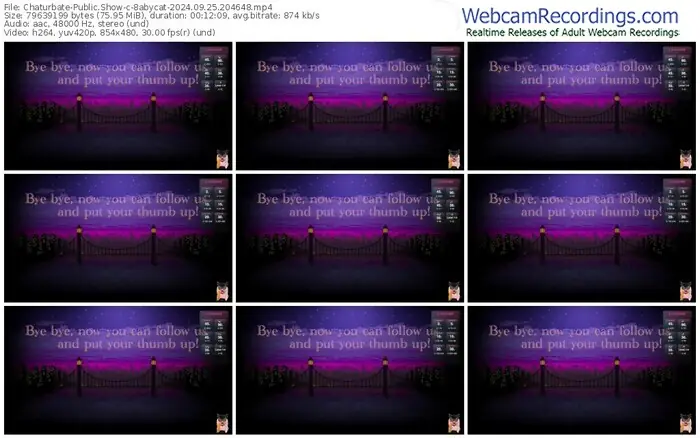 2024/09/25/chaturbate-8abycat-20-46-48