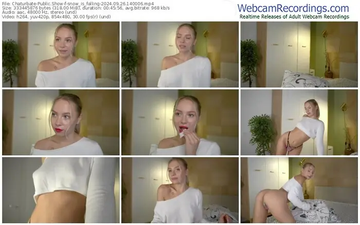 2024/09/26/chaturbate-snow_is_falling-14-00-06
