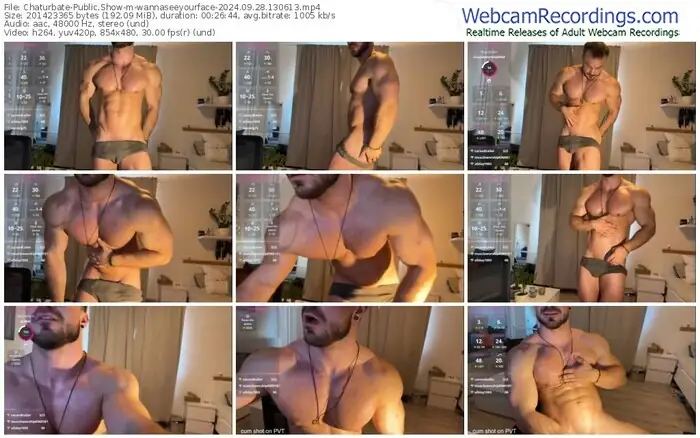 2024/09/28/chaturbate-wannaseeyourface-13-06-13