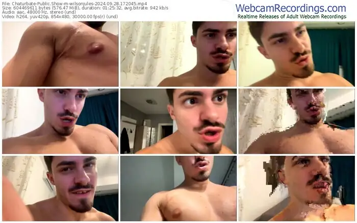 2024/09/28/chaturbate-wilsonjules-17-20-45