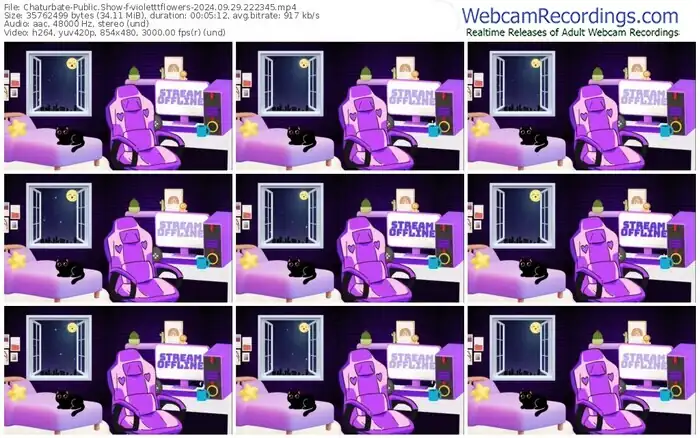 2024/09/29/chaturbate-violetttflowers-22-23-45