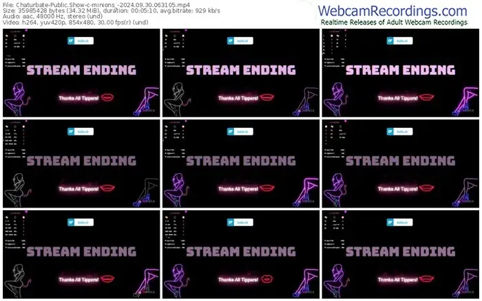 2024/09/30/chaturbate-minions_-06-31-05