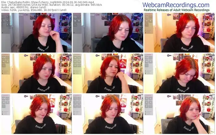 2024/09/30/chaturbate-cherry_night666-04-10-49
