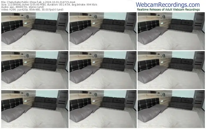 2024/10/01/chaturbate-ab_s-01-47-15