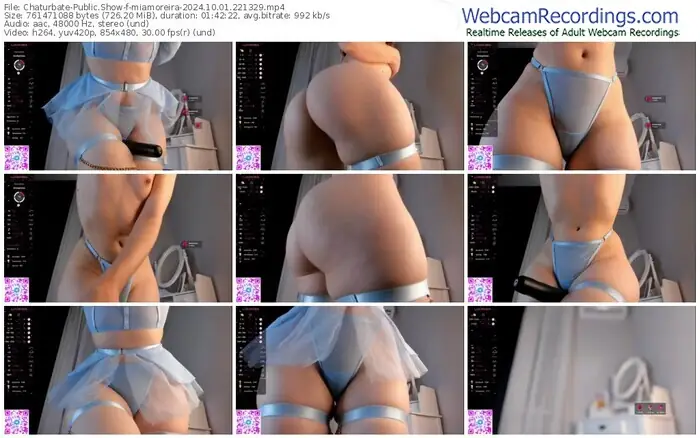 2024/10/01/chaturbate-miamoreira-22-13-29