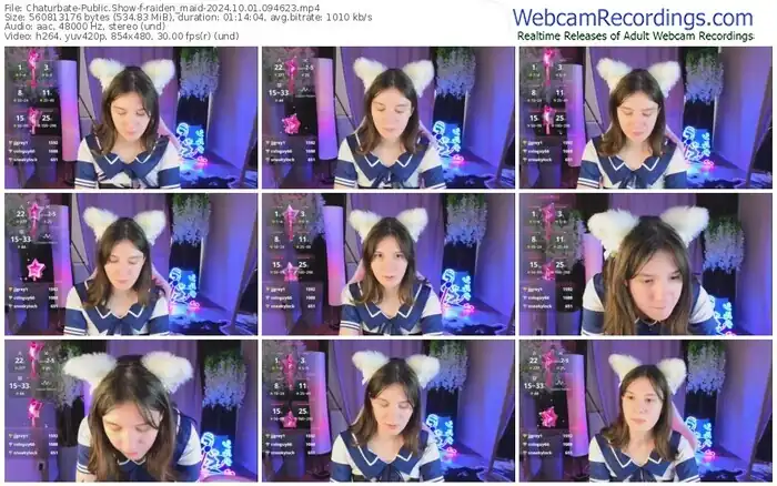 2024/10/01/chaturbate-raiden_maid-09-46-23