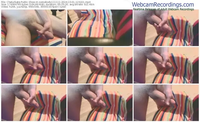 2024/10/01/chaturbate-somebody111111-12-32-21