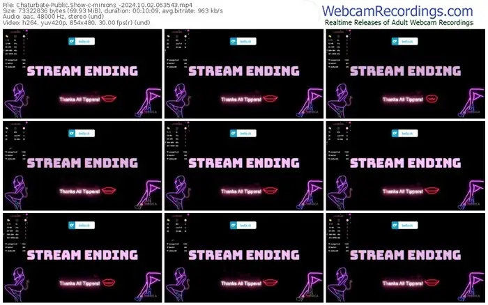 2024/10/02/chaturbate-minions_-06-35-43