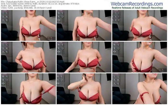 2024/10/02/chaturbate-ann__w-04-27-33