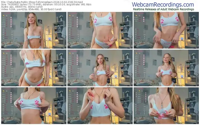 2024/10/02/chaturbate-shiningdawn-23-41-34