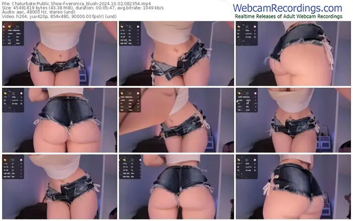 2024/10/02/chaturbate-veronica_blush-08-23-54