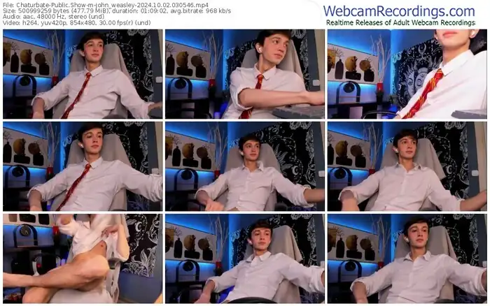 2024/10/02/chaturbate-john_weasley-03-05-46