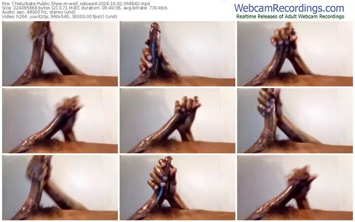 2024/10/02/chaturbate-well_ndowed-06-48-42