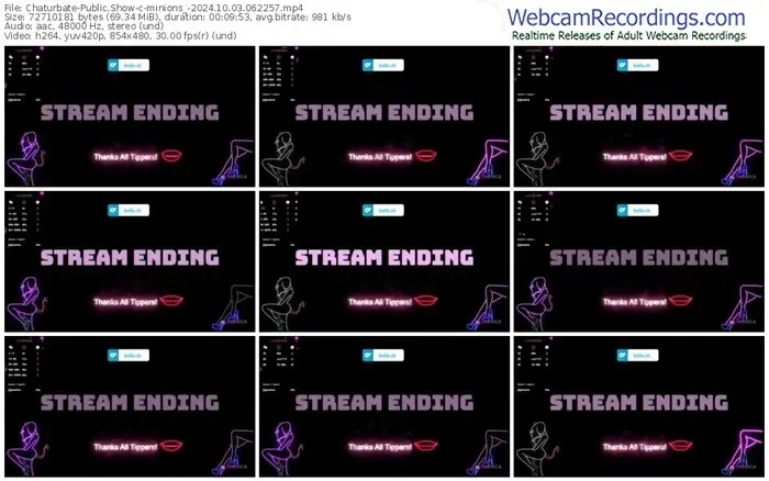 2024/10/03/chaturbate-minions_-06-22-57