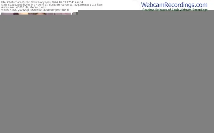 2024/10/03/chaturbate-anyeess-17-04-14