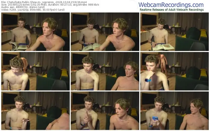 2024/10/04/chaturbate-_sopranos_-15-31-36