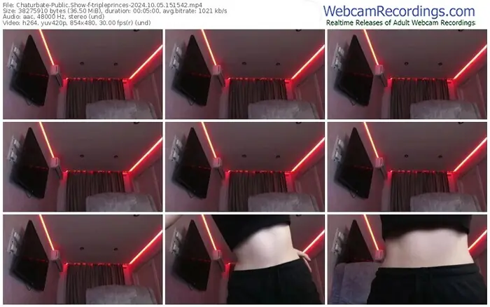 2024/10/05/chaturbate-tripleprinces-15-15-42