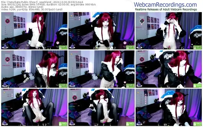 2024/10/06/chaturbate-_sparkland_-01-03-19