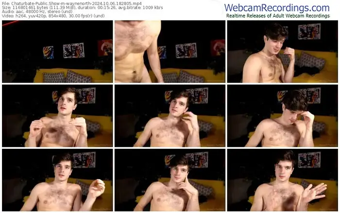 2024/10/06/chaturbate-waynenorth-18-28-05