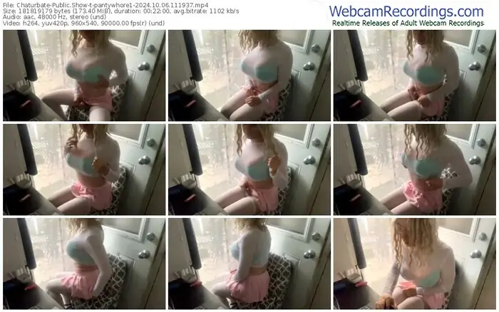 2024/10/06/chaturbate-pantywhore1-11-19-37
