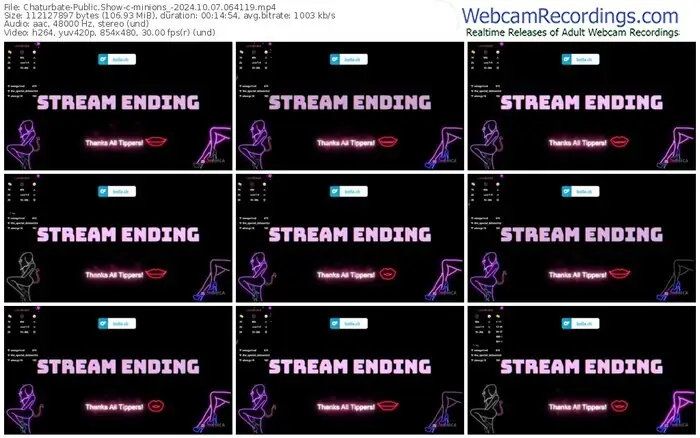 2024/10/07/chaturbate-minions_-06-41-19