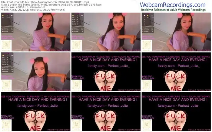 2024/10/08/chaturbate-kumamonchik-08-28-11