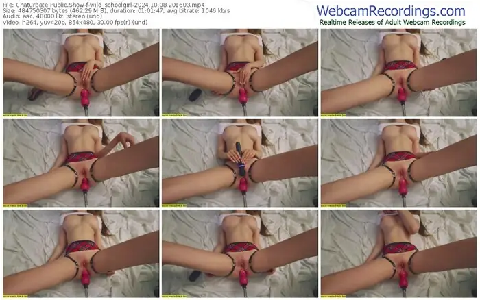 2024/10/08/chaturbate-wild_schoolgirl-20-16-03