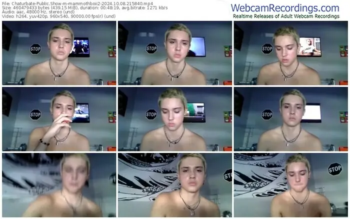 2024/10/08/chaturbate-mammothboii2-21-58-40