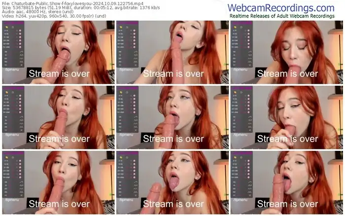 2024/10/09/chaturbate-foxylovesyou-12-27-56