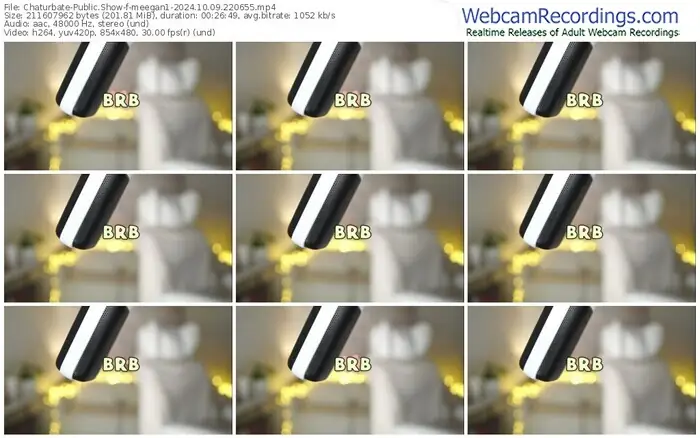 2024/10/09/chaturbate-meegan1-22-06-55