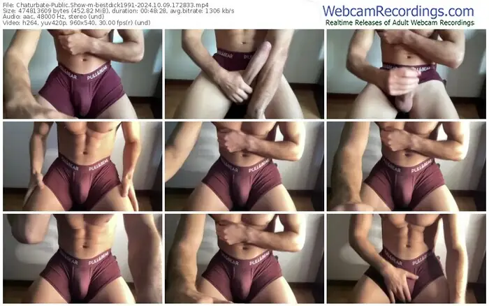 2024/10/09/chaturbate-bestdick1991-17-28-33
