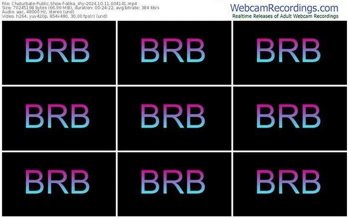 2024/10/11/chaturbate-alika_shy-00-41-41