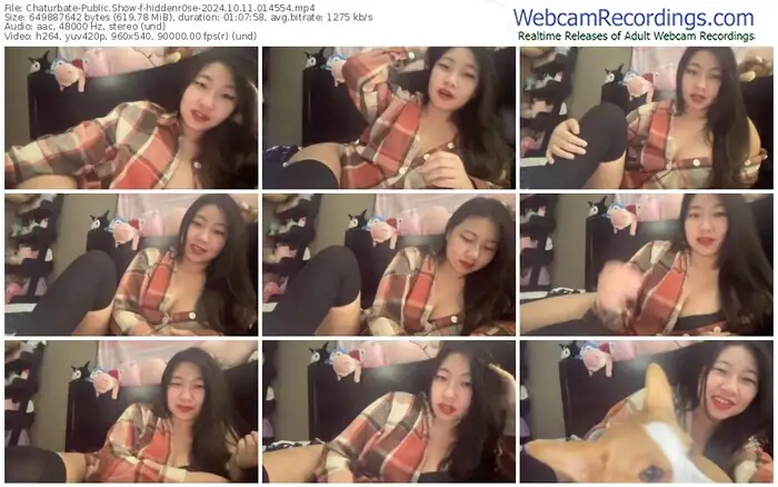 2024/10/11/chaturbate-hiddenr0se-01-45-54