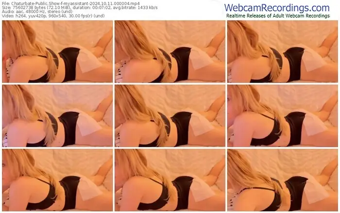 2024/10/11/chaturbate-myassistant-00-00-04