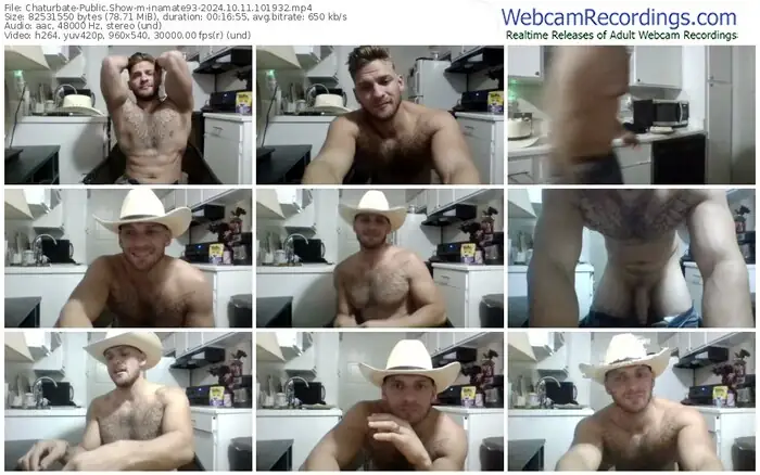 2024/10/11/chaturbate-inamate93-10-19-32